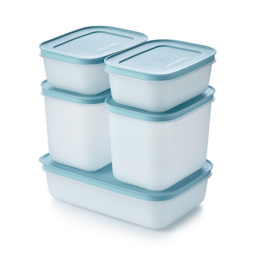 Set Congelatore Pinguino (5 pz) Tupperware I Tupperware