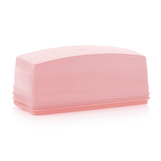 Die Kuchen-Transportbox für längliche Kuchen I Tupperware