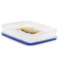 Tupperware Eis-Kristall 2,25 l Großer Gefrierbehälter für größere Mengen