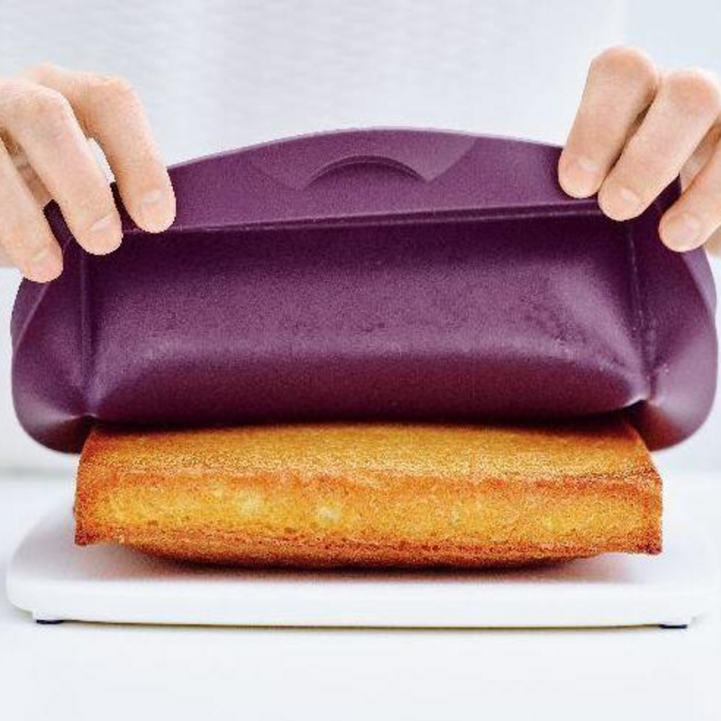 Moule Rectangulaire Silicone Tupperware I Tupperware