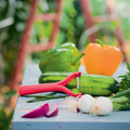 Tupperware Universalschäler Schäler für Obst und Gemüse