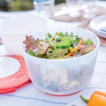 Tupperware Salat-Karussell 2 perfekt zum trockenschleudern von Salat