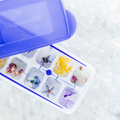 Tupperware Eiswürfler Eiswürfelbehälter mit flexiblen Boden