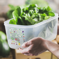 Tupperware KlimaOase 4,4 l hält ganze Salatköpfe länger frisch