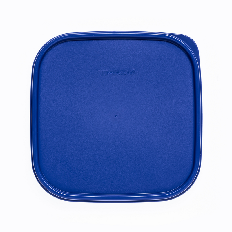 Ersatzteil Deckel Fur Den Quadratischen Behalter Tupperware I