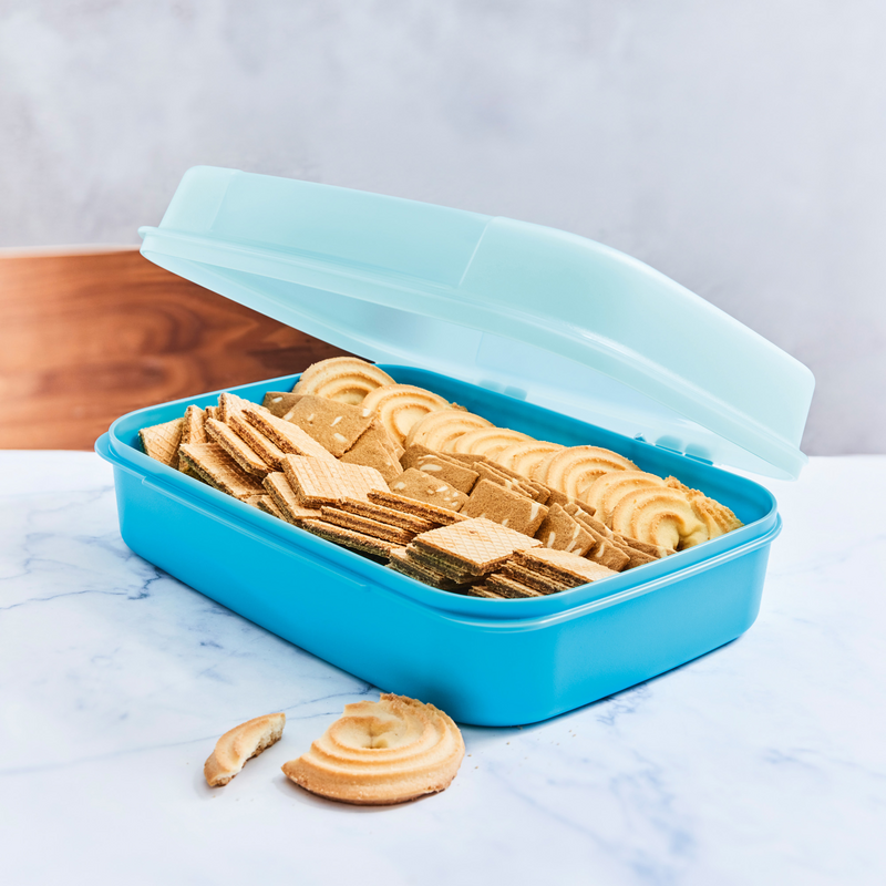 Ersatzteil Deckel Fur Grosses Naschkatzchen Tupperware I Tupperware Achso, keine ahnung warum, aber tupper in mikro geht nicht. eur