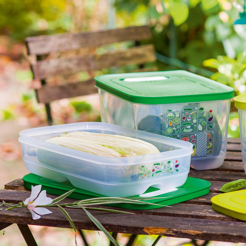 Ersatzteil Schieber Fur Die Klimaoasen Deckel Tupperware I