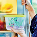 Tupperware KlimaOasen-Set (5) perfektes Klima für Obst und Gemüse im Kühlschrank