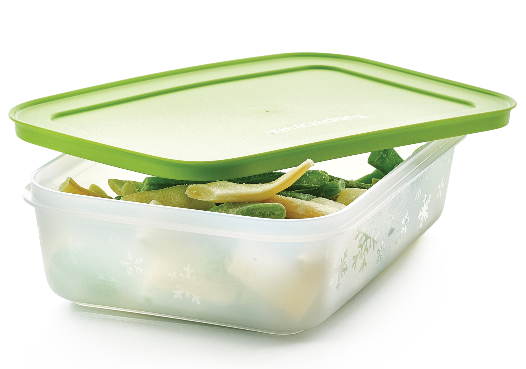 Tupperware contenitori freezer