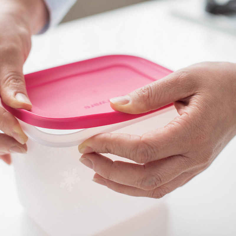 recur autobus Evento contenitore pinguino tupperware 2 5l Rispetto