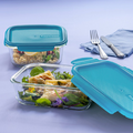 Tupperware PremiaGlass 1,0 l Angebot Echter Glasbehälter zum Transportieren von Essen