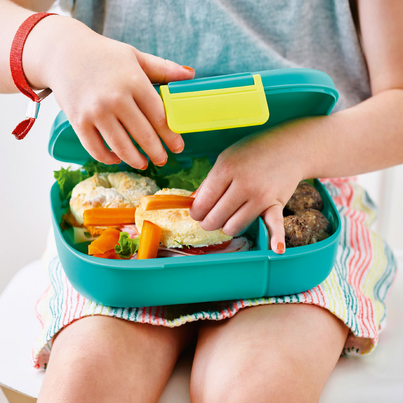 Tupperware Eco+ Lunch Box Navy Blue – ezmarketim