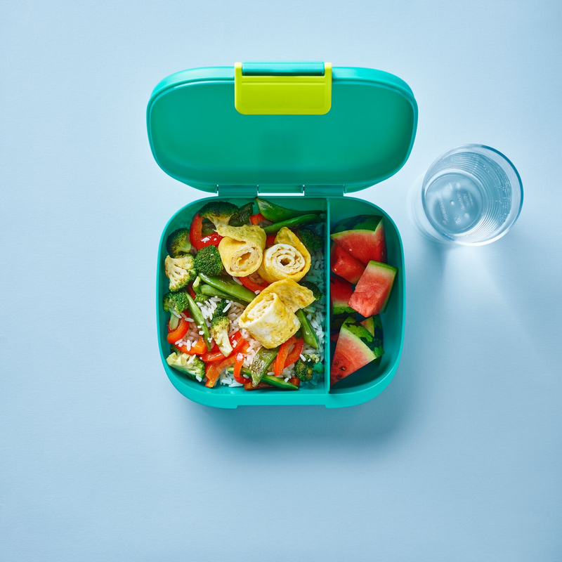 Tupperware Eco+ Lunch Box Navy Blue – ezmarketim