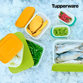 Tupperware Set Congelatore Pinguino Base (6 pz) Set Congelatore Pinguino Base (6pz)