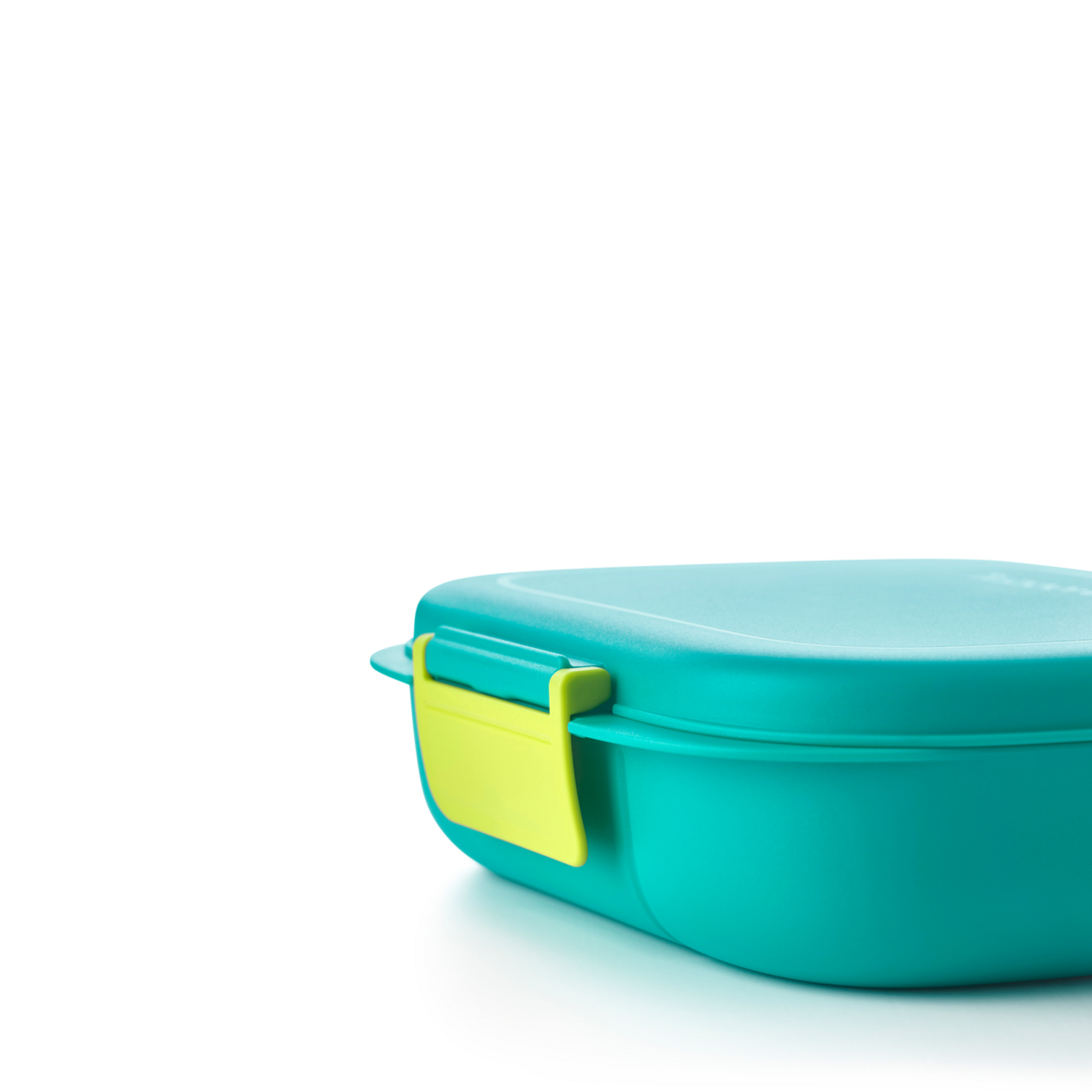 Tupperware to Go 30915 - Contenitore Porta Pranzo con separatore, per  Sandwich, Colore: Nero/Verde Lime : : Casa e cucina