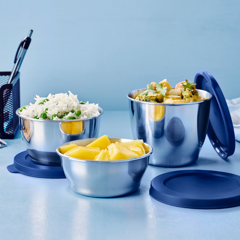 Tupperware tiffin 2024
