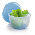 Tupperware Salat-Behälter 2 l Salatschüssel mit Frischegitter und Salat gefüllt