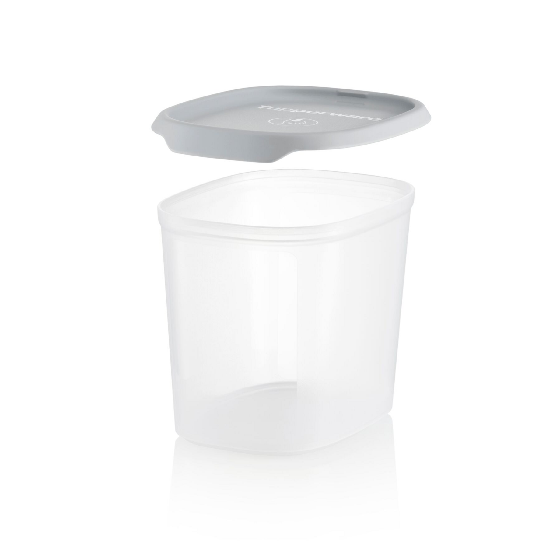 Contenitore Ovale 1 Tupperware I Tupperware