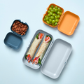 Tupperware Eco+ Maxi-Twin-Set (3) blau 3 Brotboxen auf einen Streich zum Mitnehmen von Broten und Snacks
