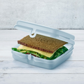 Tupperware Eco+ Sandwich-Box blau Brotdose zum Mitnehmen von Broten oder Snacks