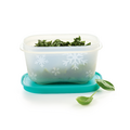 Tupperware Eiskristall 170 ml (2) Duplicate