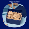 Tupperware Frigobox da 5 l Frigobox da 5 l