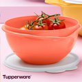 Tupperware La Ciotola Mini da 1,3 l La Ciotola Mini da 1,3 l